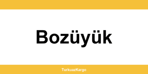 MNG Kargo Bozüyük şubeleri ve iletişim bilgileri