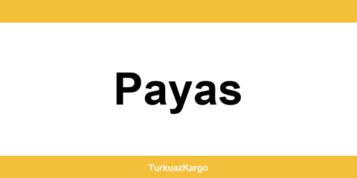 MNG Kargo Payas şubeleri ve iletişim bilgileri