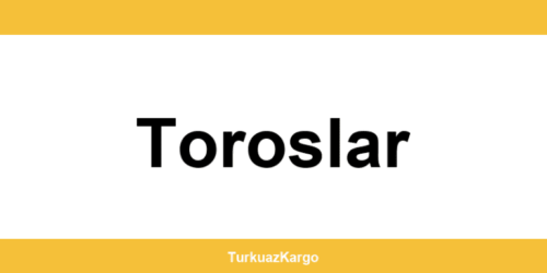 MNG Kargo Toroslar şubeleri ve iletişim bilgileri