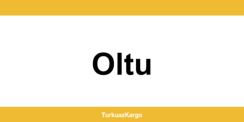 MNG Kargo Oltu şubeleri ve iletişim bilgileri