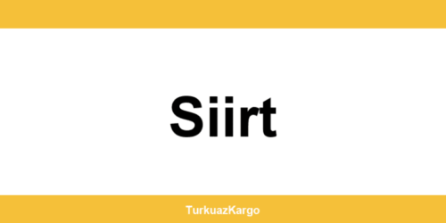 MNG Kargo Siirt şubeleri ve iletişim bilgileri