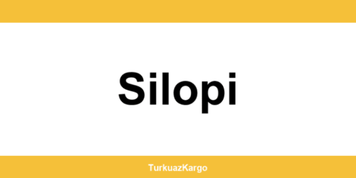 MNG Kargo Silopi şubeleri ve iletişim bilgileri