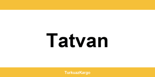 MNG Kargo Tatvan şubeleri ve iletişim bilgileri