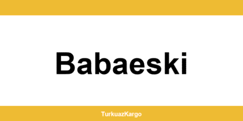 MNG Kargo Babaeski şubeleri ve iletişim bilgileri