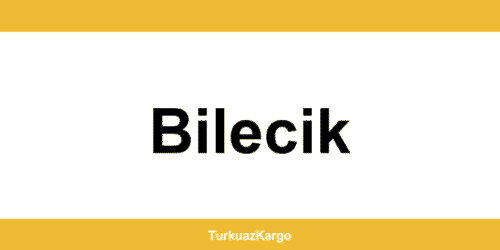 MNG Kargo Bilecik şubeleri ve iletişim bilgileri