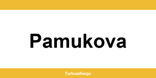 MNG Kargo Pamukova şubeleri ve iletişim bilgileri